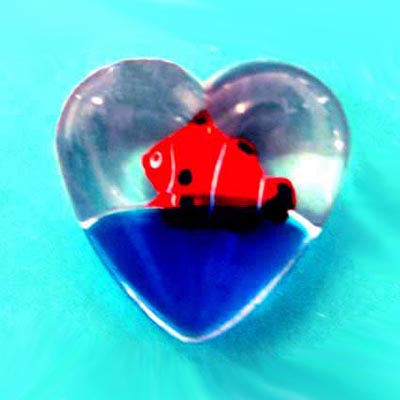 Magnet Liquid-filled Heart Shape Fish